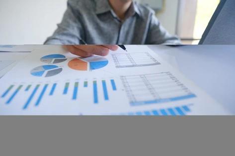 elementos del presupuesto